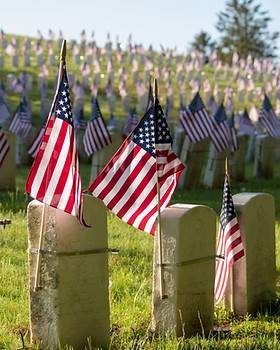 American War Cemetery